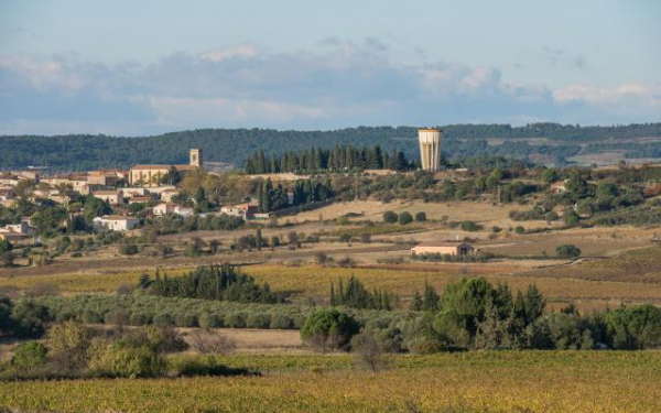 Habitat occupé par la Pie-grièche à poitrine rose en milieu méditerranéen (source : cityzia.fr)